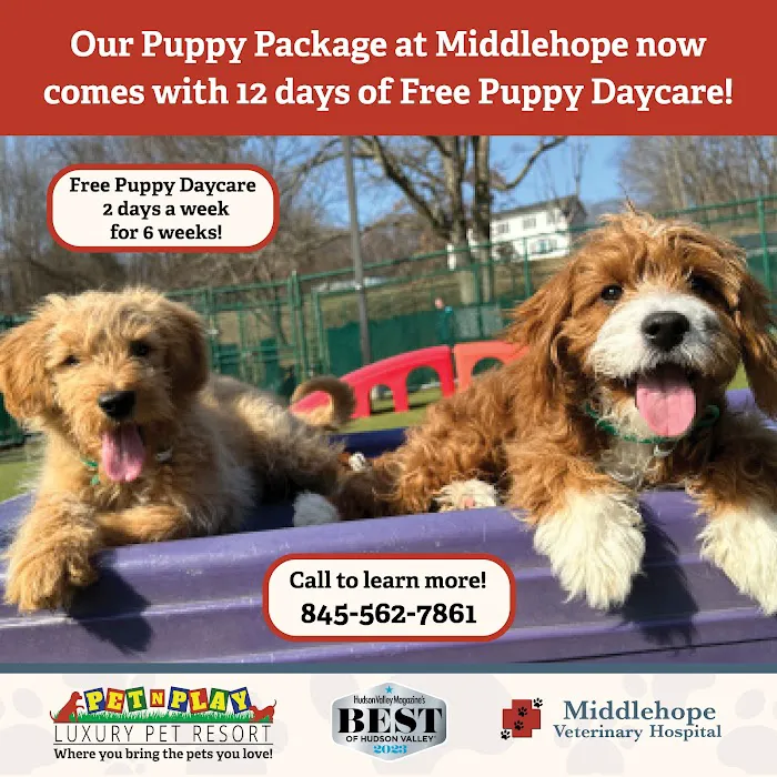 Middlehope Veterinary Hospital Picture 5