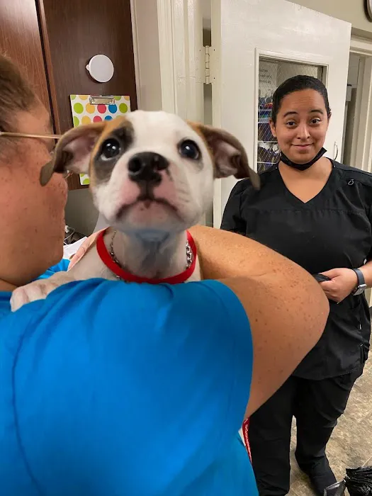 Middlehope Veterinary Hospital Picture 10