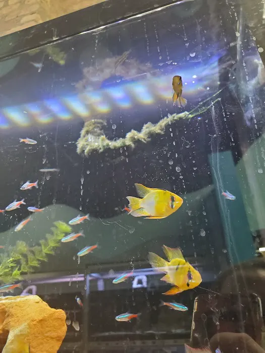 Animart Pet Store Picture 9