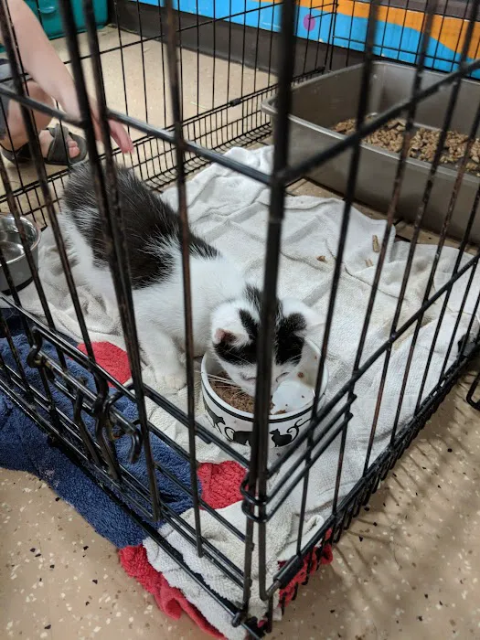 Animart Pet Store Picture 8