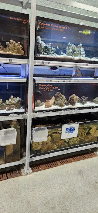 Animart Pet Store Picture 4