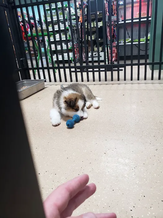 Animart Pet Store Picture 3