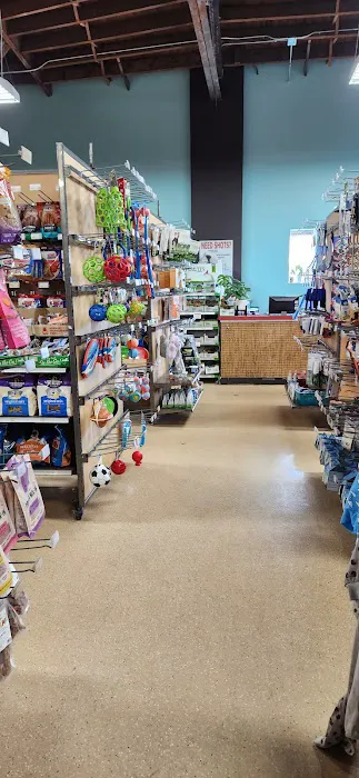 Animart Pet Store Picture 5