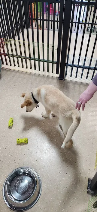 Animart Pet Store Picture 6