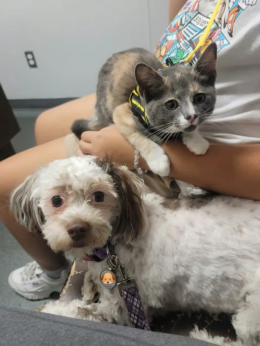 Monroe Animal Hospital Picture 5