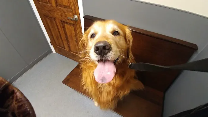 Monroe Animal Hospital Picture 4