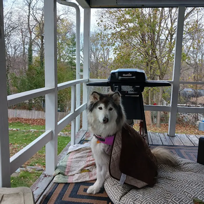 Monroe Animal Hospital Picture 7