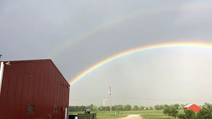 Pj's Tropical Fish Picture 2