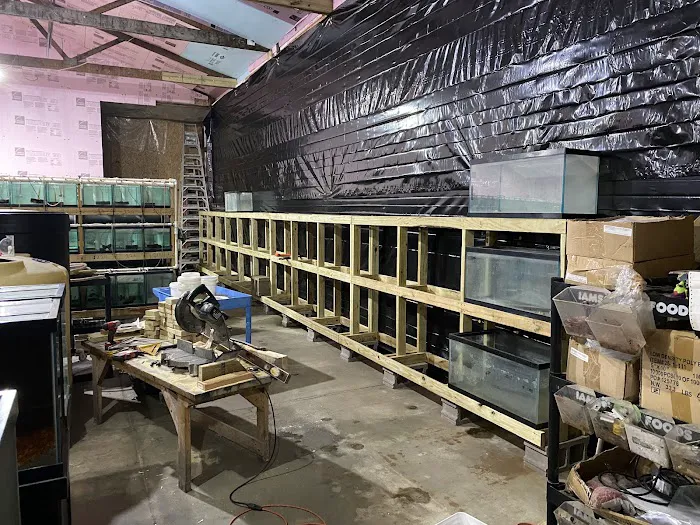 Pj's Tropical Fish Picture 4