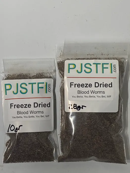 Pj's Tropical Fish Picture 6