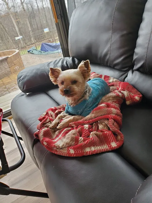 The Pets I Love Veterinary Hospital Picture 2