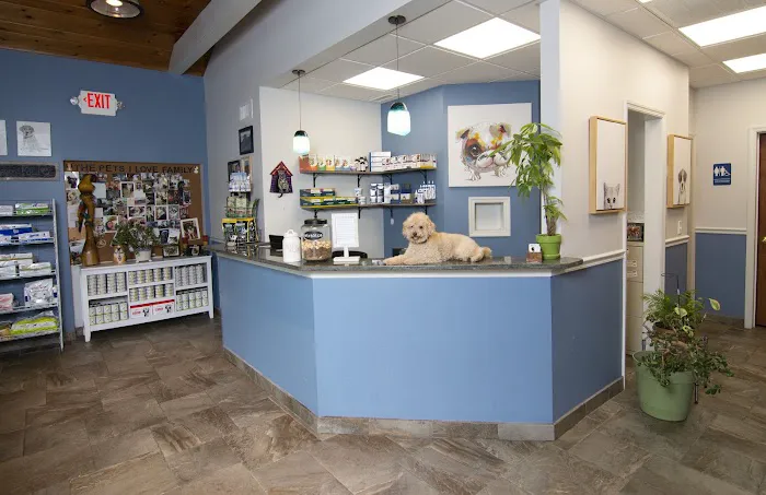 The Pets I Love Veterinary Hospital Picture 1