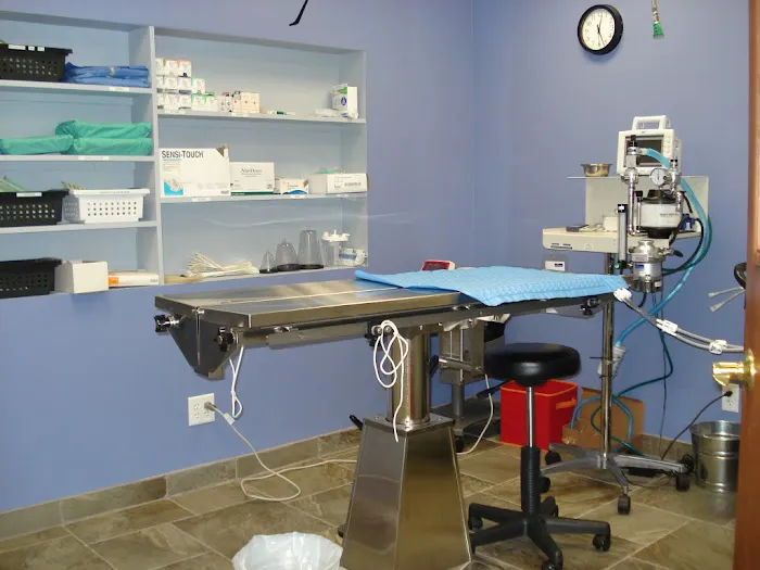 The Pets I Love Veterinary Hospital Picture 6