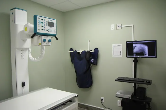 The Pets I Love Veterinary Hospital Picture 5