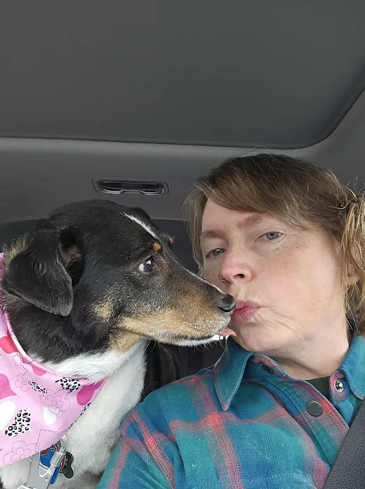 Kinker Road Pet Grooming & Boarding Picture 2