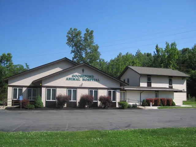 Goosepond Animal Hospital Picture 10