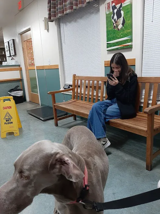 Goosepond Animal Hospital Picture 5