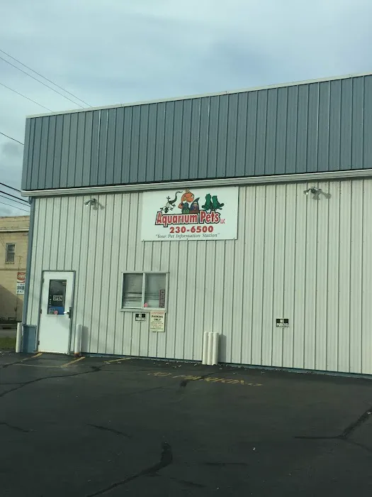 Aquarium Pets Picture 1