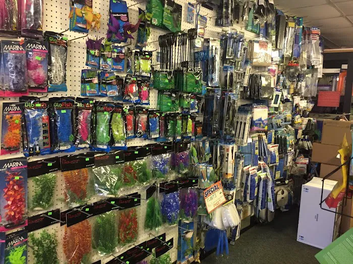 Aquarium Pets Picture 2