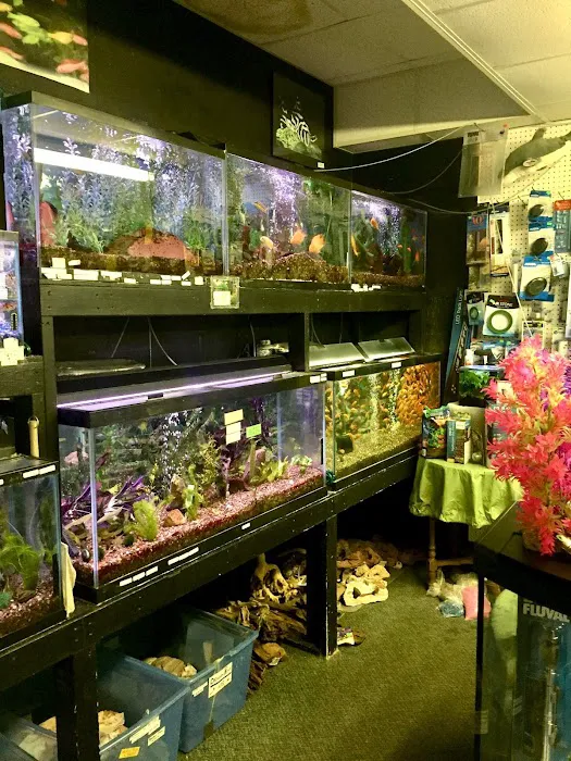 Aquarium Pets Picture 6