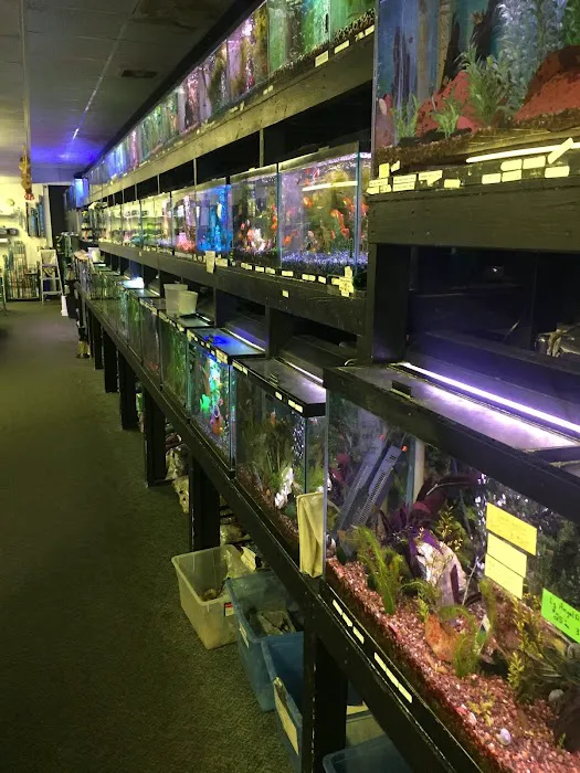 Aquarium Pets Picture 4