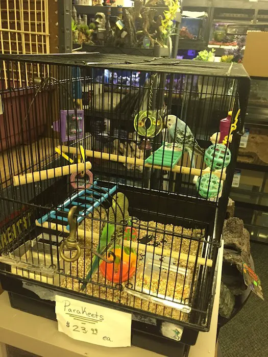 Aquarium Pets Picture 9