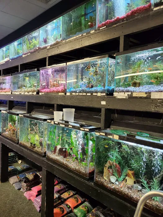 Aquarium Pets Picture 5