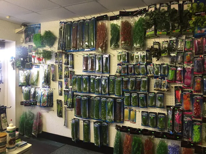 Aquarium Pets Picture 10