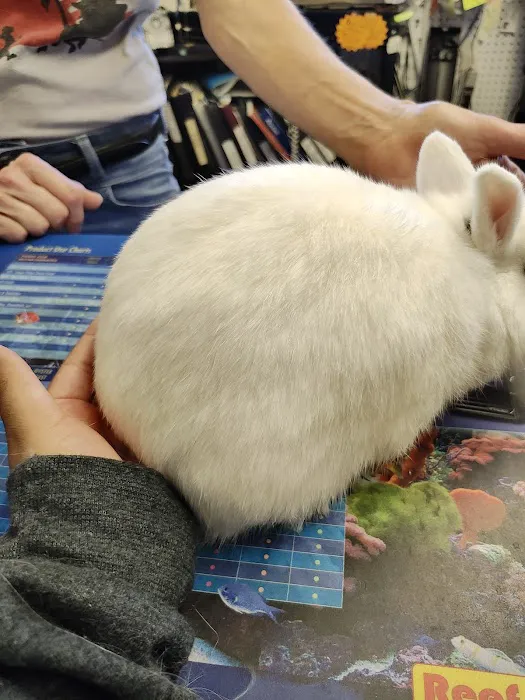 Aquarium Pets Picture 8