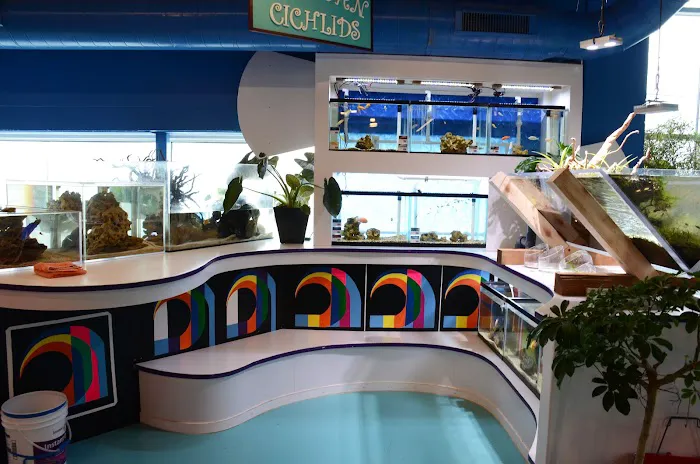 Sanctuary Aquatics Picture 7