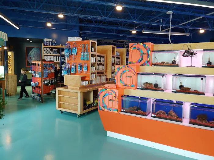 Sanctuary Aquatics Picture 5