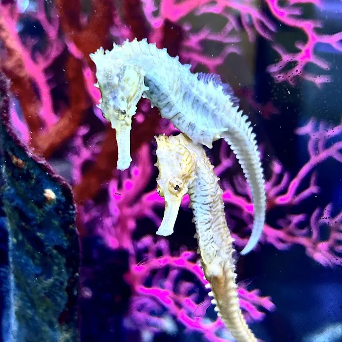 Sanctuary Aquatics Picture 1