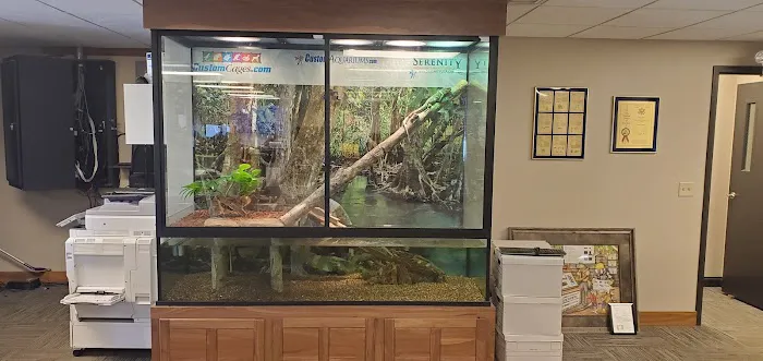 Custom Aquariums Picture 1