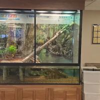 Custom Aquariums ico