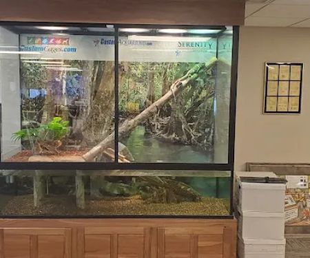 Custom Aquariums