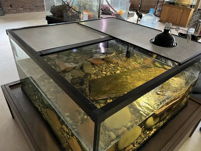 Custom Aquariums Picture 9