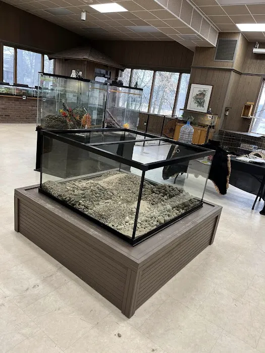 Custom Aquariums Picture 5