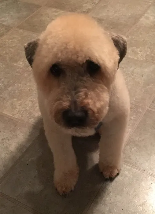 Goshen Animal Hospital Picture 8