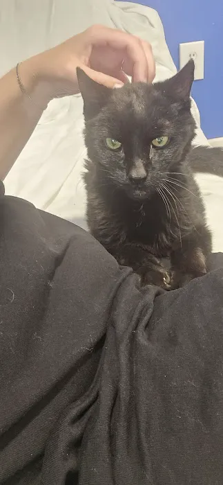 Goshen Animal Hospital Picture 7