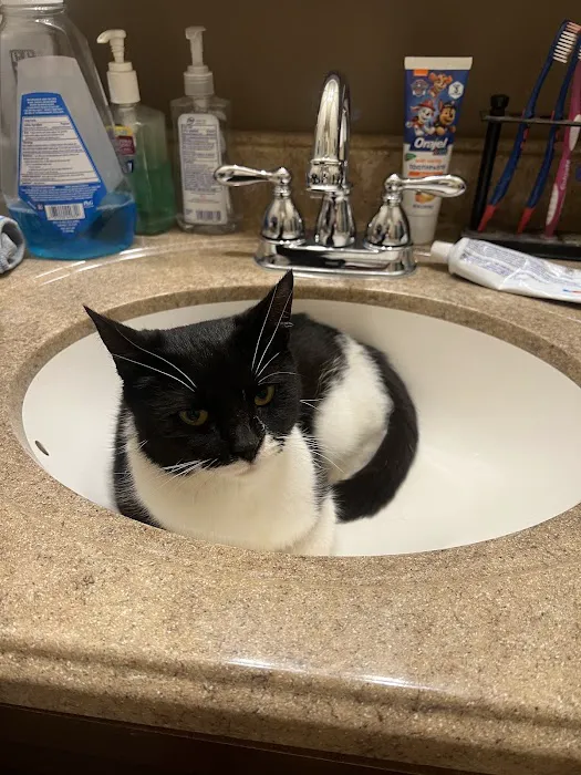 Goshen Animal Hospital Picture 9