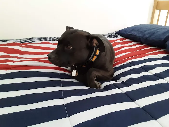 Goshen Animal Hospital Picture 1