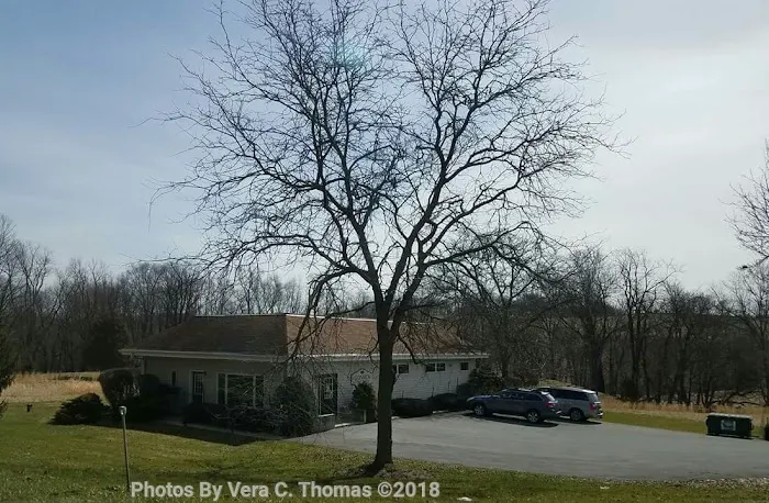 Goshen Animal Hospital Picture 3