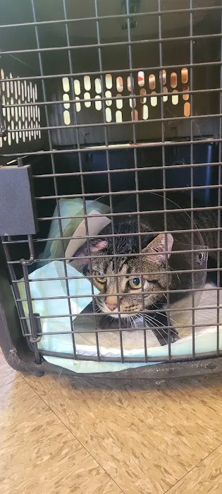 Goshen Animal Hospital Picture 5