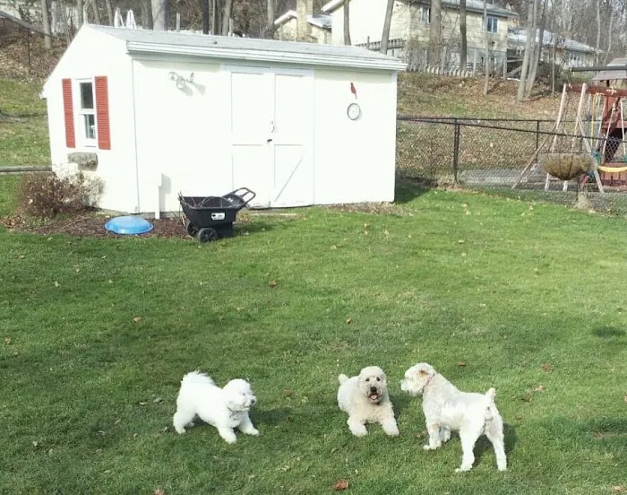 Goshen Animal Hospital Picture 4