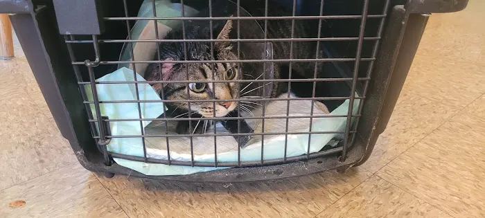 Goshen Animal Hospital Picture 6