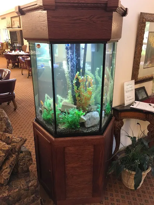 Serenity Aquarium & Aviary Services Picture 8