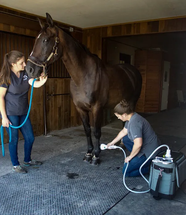 Equilibrium Veterinary Services Picture 4