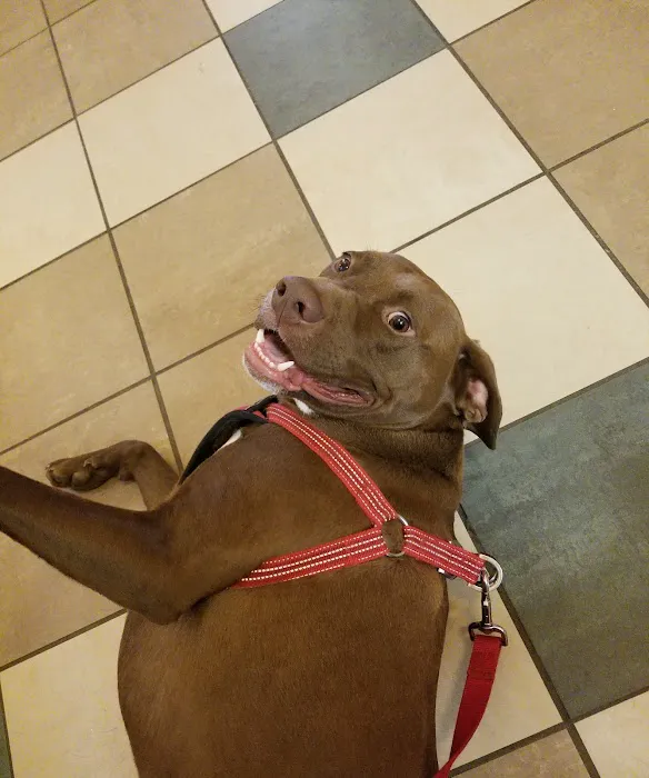 VCA Orange County Veterinary Hospital Picture 2