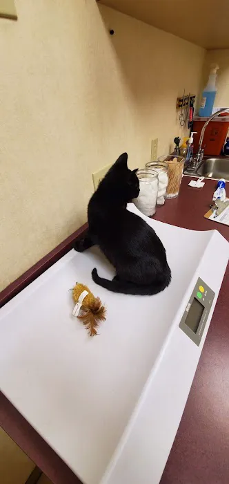 VCA Orange County Veterinary Hospital Picture 1