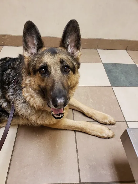 VCA Orange County Veterinary Hospital Picture 9